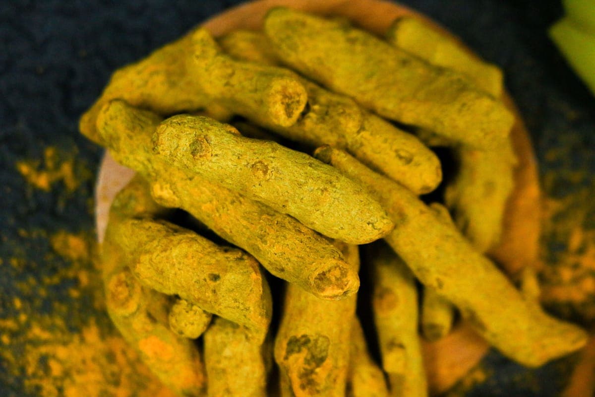 Fresh turmeric root on a light surface